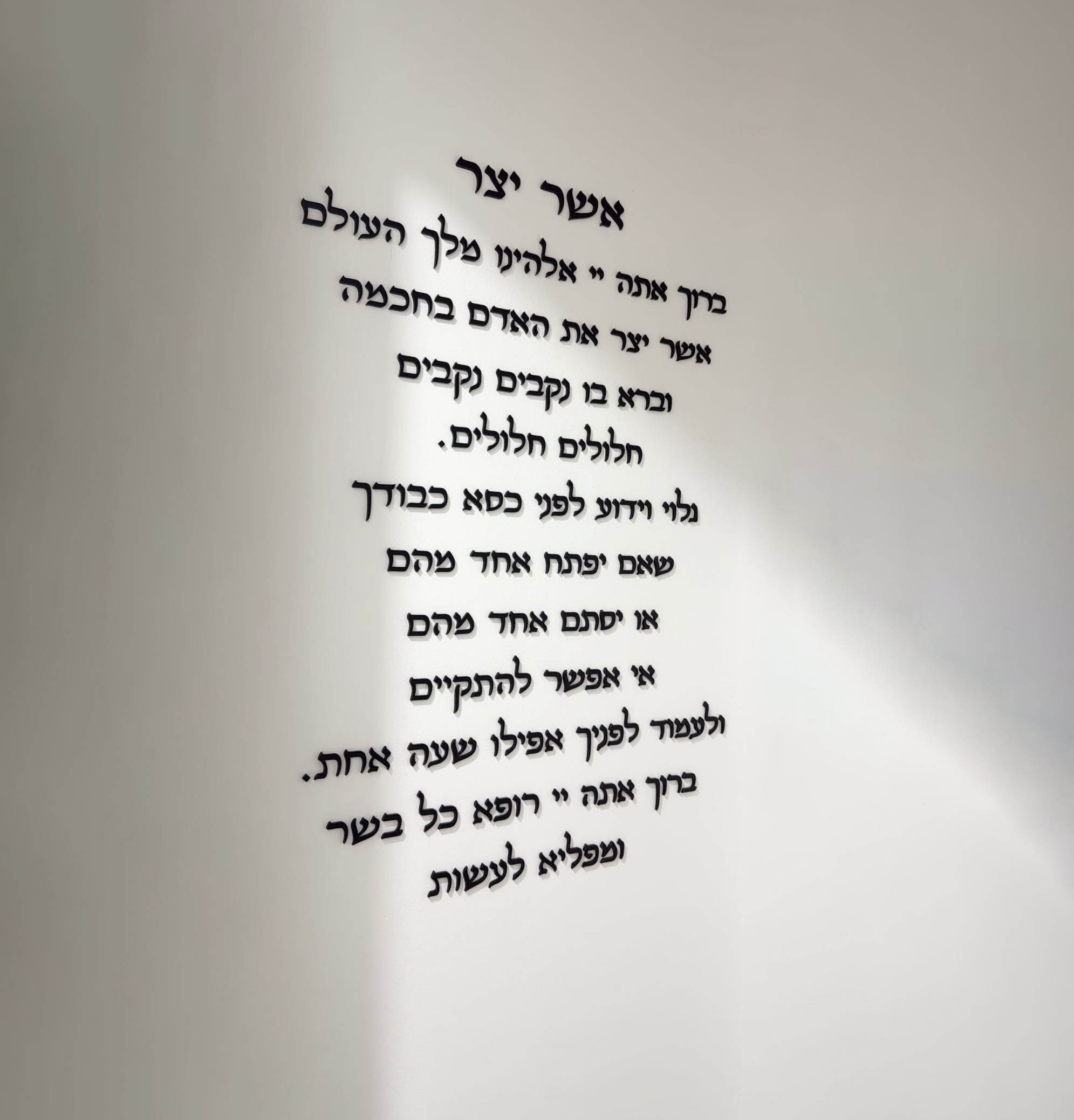 WhatsApp Image 2025-11-10 at 13.39.53 אשר יצר – תמונה 1
